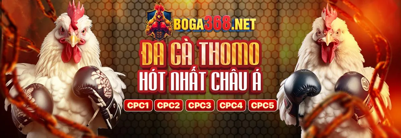Đá gà trực tuyến rg8369 trang chủ chính thức 2026