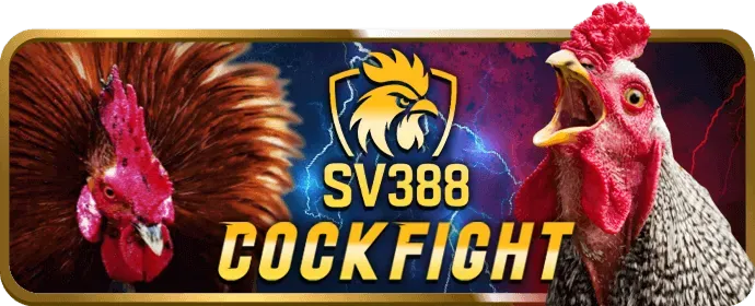 Đá gà cựa sắt rg8369